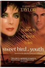 Watch Sweet Bird of Youth Xmovies8