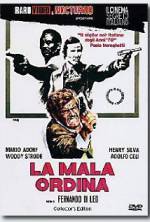 Watch The Italian Connection Xmovies8