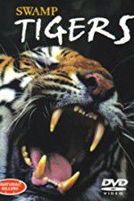 Watch Swamp Tigers Xmovies8