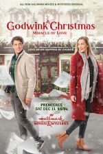 Watch A Godwink Christmas: Miracle of Love Xmovies8