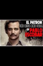 Watch The Rise and Fall of Pablo Escobar Xmovies8