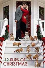 Watch 12 Pups of Christmas Xmovies8