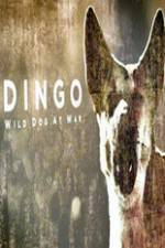 Watch Dingo Wild Dog at War Xmovies8