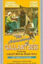 Watch Adventures of Gallant Bess Xmovies8