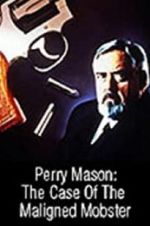 Watch Perry Mason: The Case of the Maligned Mobster Xmovies8