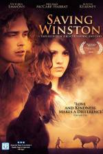 Watch Saving Winston Xmovies8