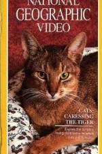 Watch Cats Caressing the Tiger Xmovies8
