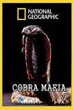 Watch National Geographic Cobra Mafia Xmovies8
