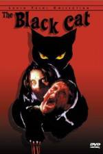 Watch Black Cat Xmovies8