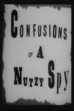 Watch Confusions of a Nutzy Spy Xmovies8