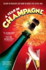Watch A Year in Champagne Xmovies8