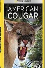 Watch National Geographic - American Cougar Xmovies8