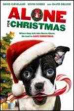 Watch Alone For Christmas Xmovies8