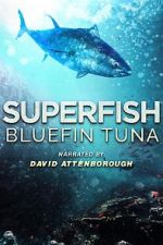 Watch Superfish Bluefin Tuna Xmovies8