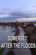 Watch Somerset: After the Floods Xmovies8