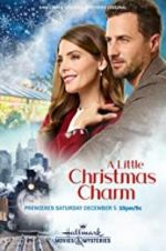 Watch A Little Christmas Charm Xmovies8