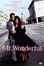 Watch Mr Wonderful Xmovies8