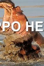 Watch Hippo Hell Xmovies8