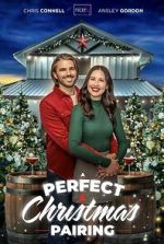 Watch A Perfect Christmas Pairing Xmovies8