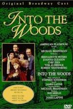 Watch Into the Woods Xmovies8