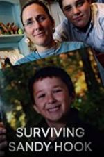 Watch Surviving Sandy Hook Xmovies8