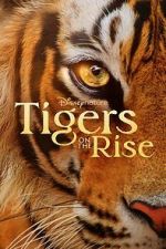 Watch Tigers on the Rise Xmovies8