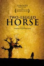 Watch Two-Legged Horse Xmovies8