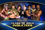 Watch WWE Hall of Fame Xmovies8