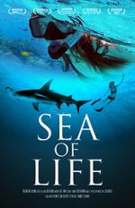 Watch Sea of Life Xmovies8