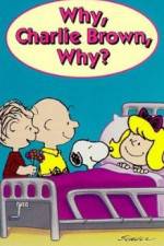 Watch Why Charlie Brown Why Xmovies8