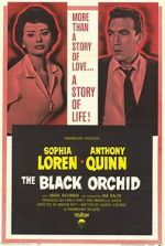 Watch The Black Orchid Xmovies8