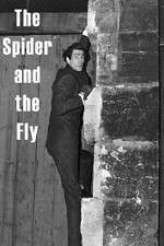 Watch The Spider and the Fly Xmovies8