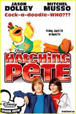 Watch Hatching Pete Xmovies8