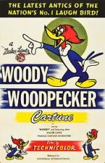 Watch The Woody Woodpecker Polka Xmovies8