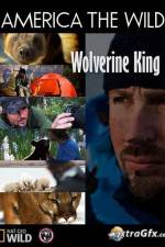 Watch National Geographic Wild America the Wild Wolverine King Xmovies8