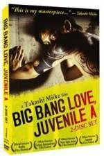 Watch Big Bang Love Juvenile A Xmovies8