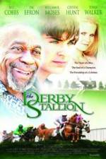 Watch The Derby Stallion Xmovies8
