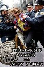 Watch NYPD: Biggest Gang in New York? Xmovies8