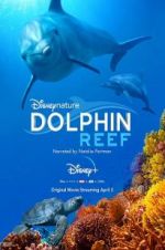 Watch Dolphin Reef Xmovies8