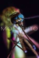 Watch Mosquito Xmovies8