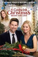 Watch A Godwink Christmas: Meant for Love Xmovies8