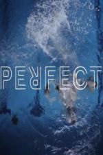 Watch Perfect Xmovies8