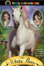 Watch The White Pony Xmovies8