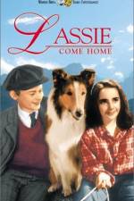 Watch Lassie Come Home Xmovies8