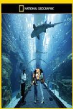 Watch National Geographic Megastructures Dubai Mega Mall Xmovies8