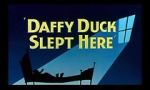Watch Daffy Duck Slept Here (Short 1948) Xmovies8