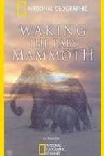 Watch Waking the Baby Mammoth Xmovies8
