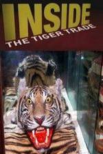 Watch Inside: The Tiger Trade Xmovies8