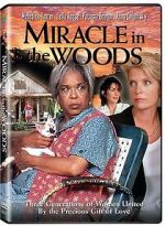 Watch Miracle in the Woods Xmovies8