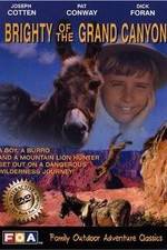 Watch Brighty of the Grand Canyon Xmovies8